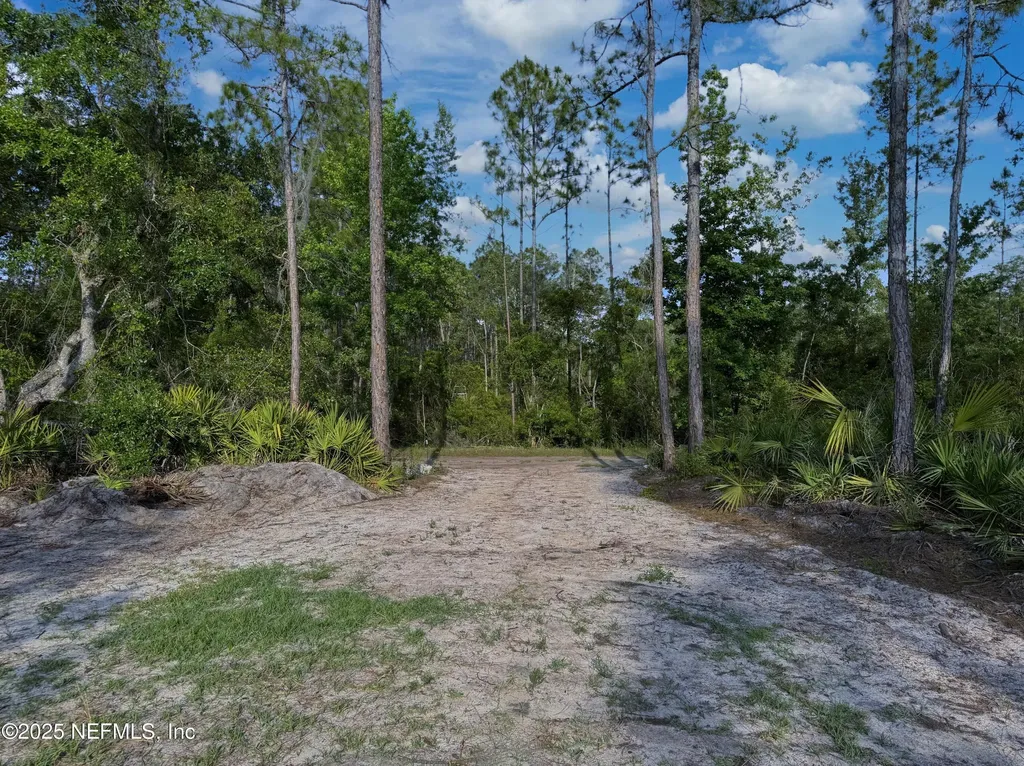 121 Stella Road Georgetown FL 32139