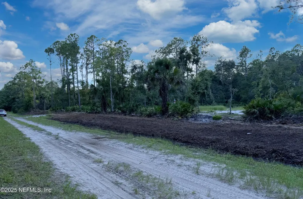 121 Stella Road Georgetown FL 32139