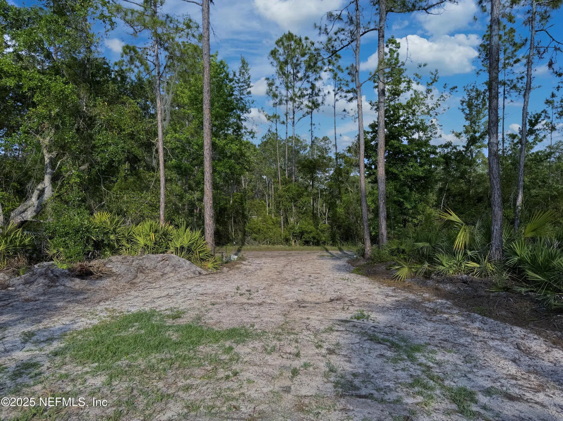 121 Stella Road Georgetown FL 32139