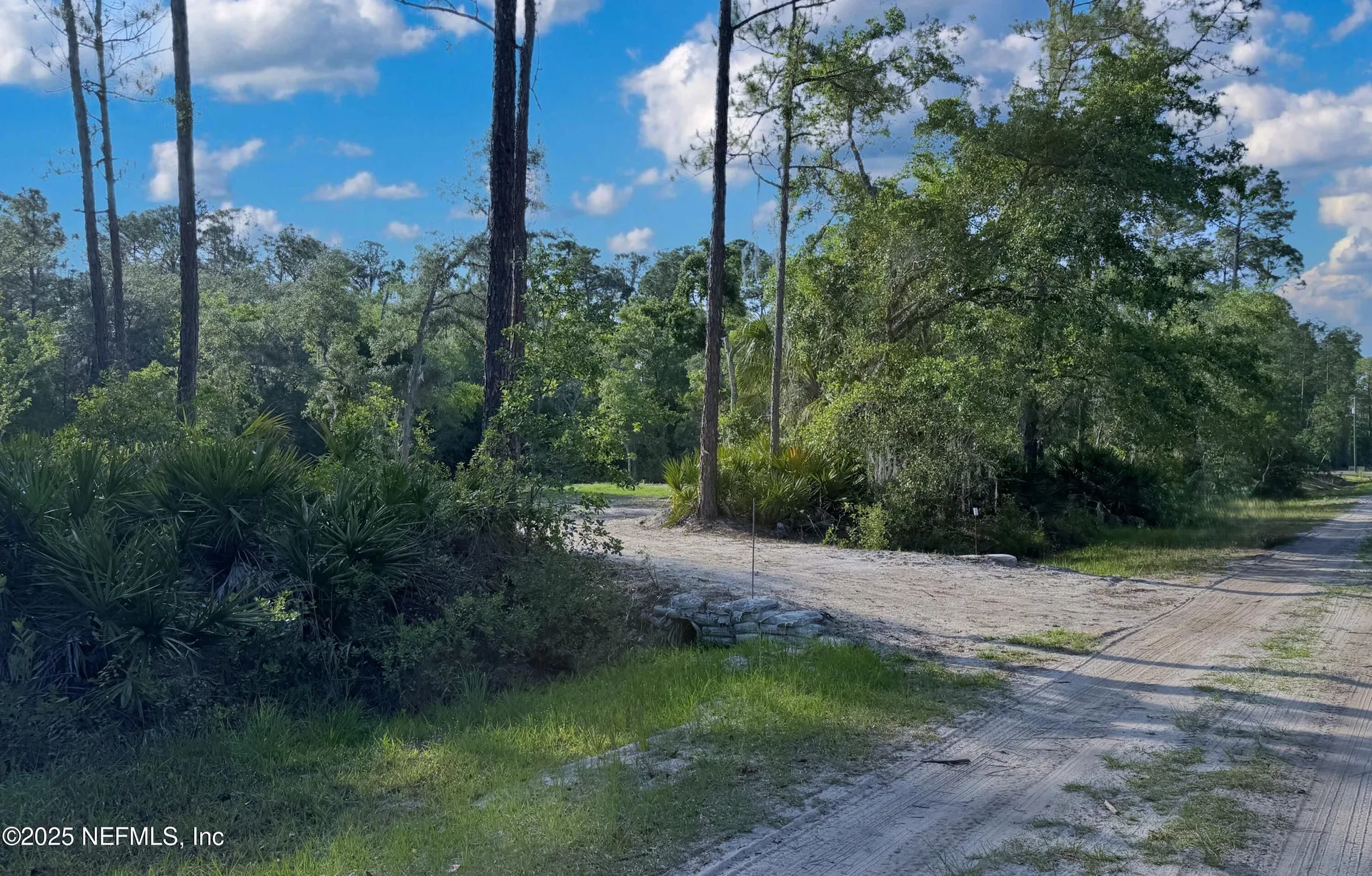 121 Stella Road Georgetown FL 32139