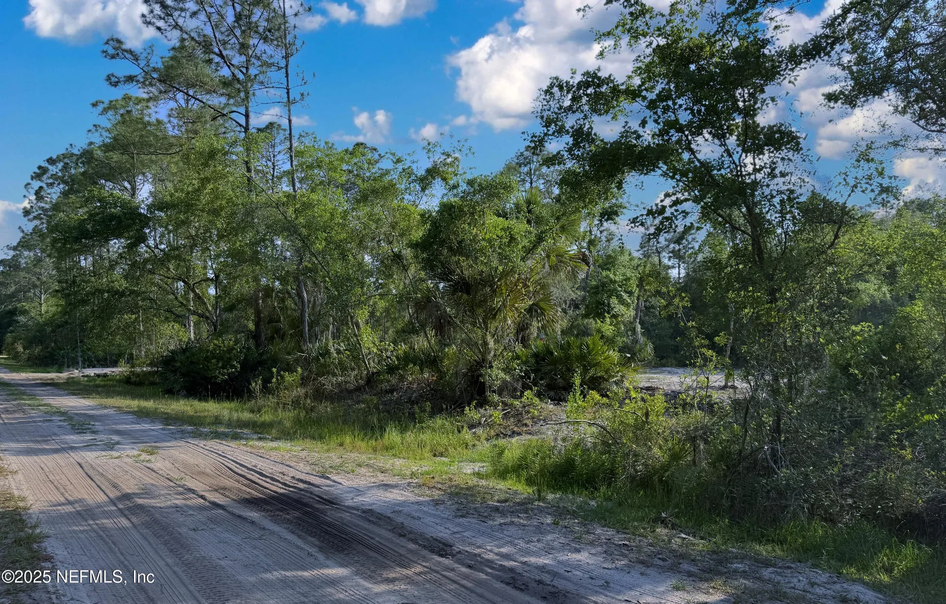 121 Stella Road Georgetown FL 32139