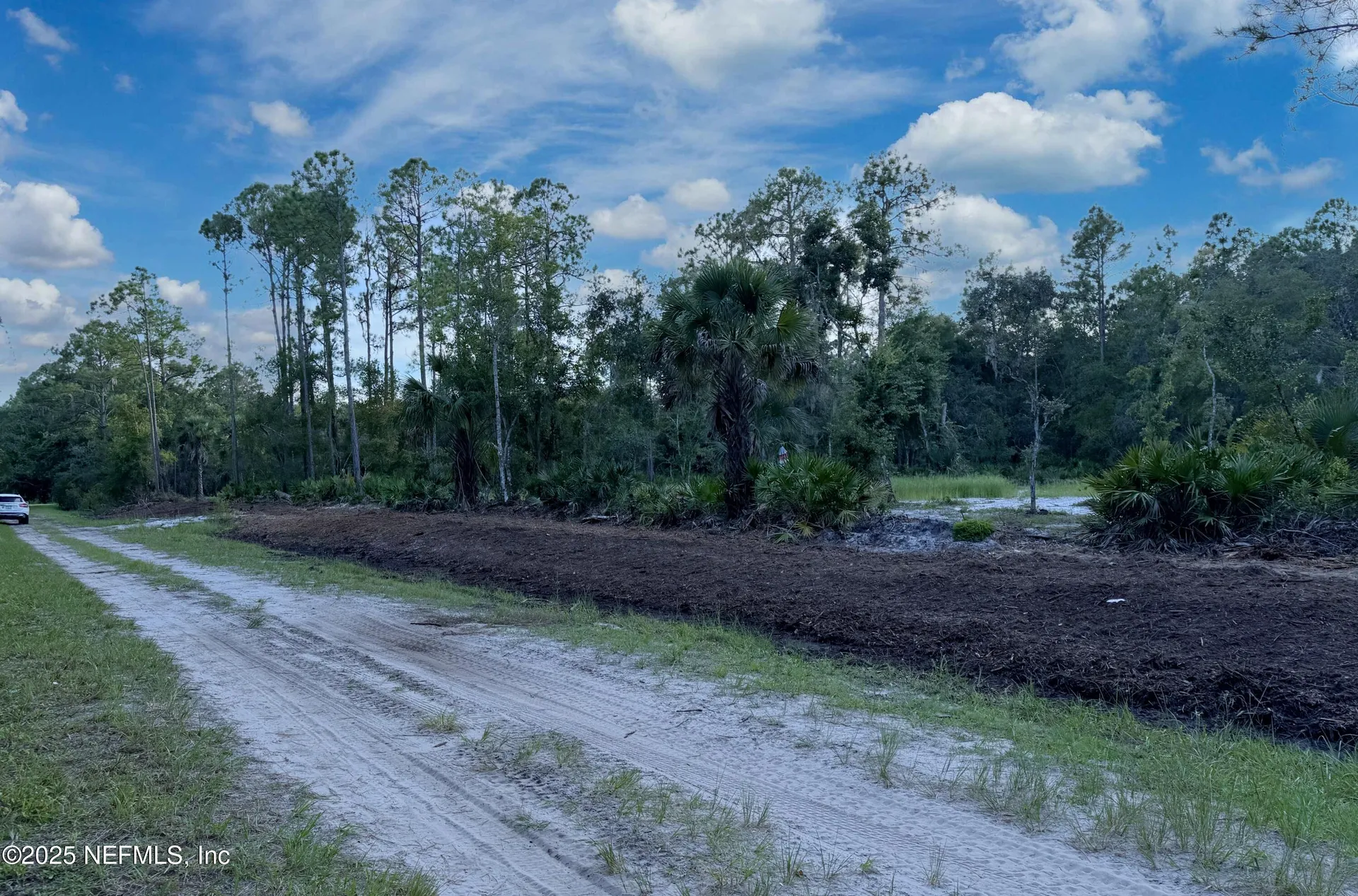 121 Stella Road Georgetown FL 32139