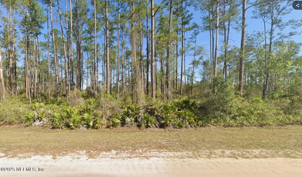 146 Pine Cone Drive Georgetown FL 32139
