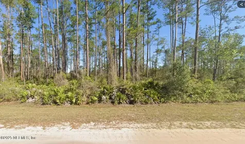 146 Pine Cone Drive Georgetown FL 32139