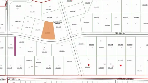 146 Pine Cone Drive Georgetown FL 32139