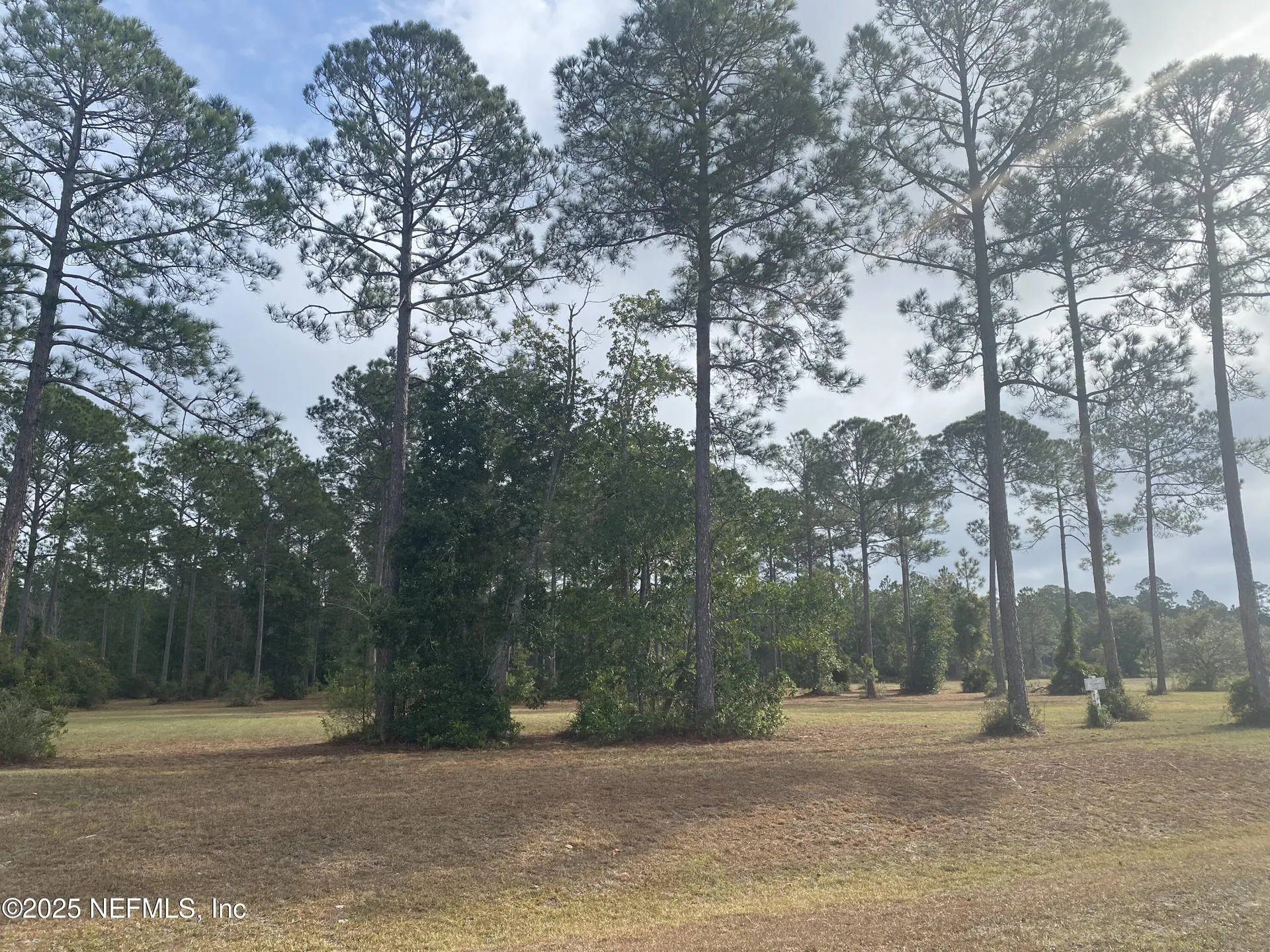 11049 Whisper Ridge Court Jacksonville FL 32219