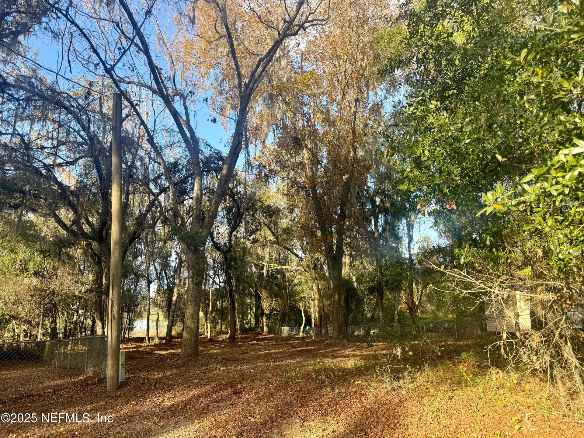 892 Lake Shore Terrace Interlachen FL 32148