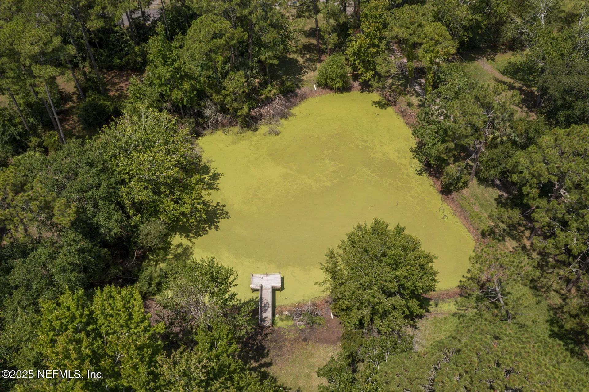 95060 Holmberg Lane Fernandina Beach FL 32034