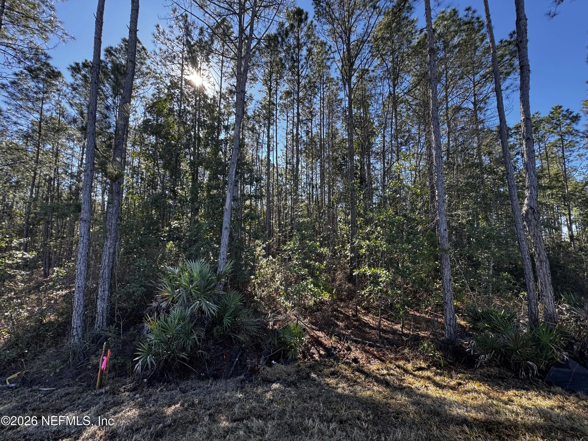 12402 Great Eagle Road Jacksonville FL 32219