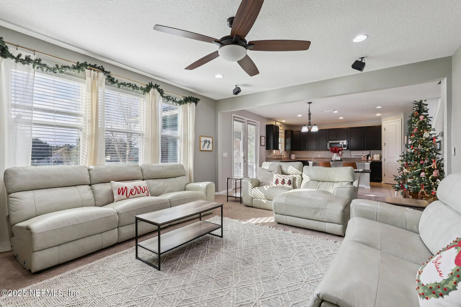 3342 Spring Valley Court Green Cove Springs FL 32043