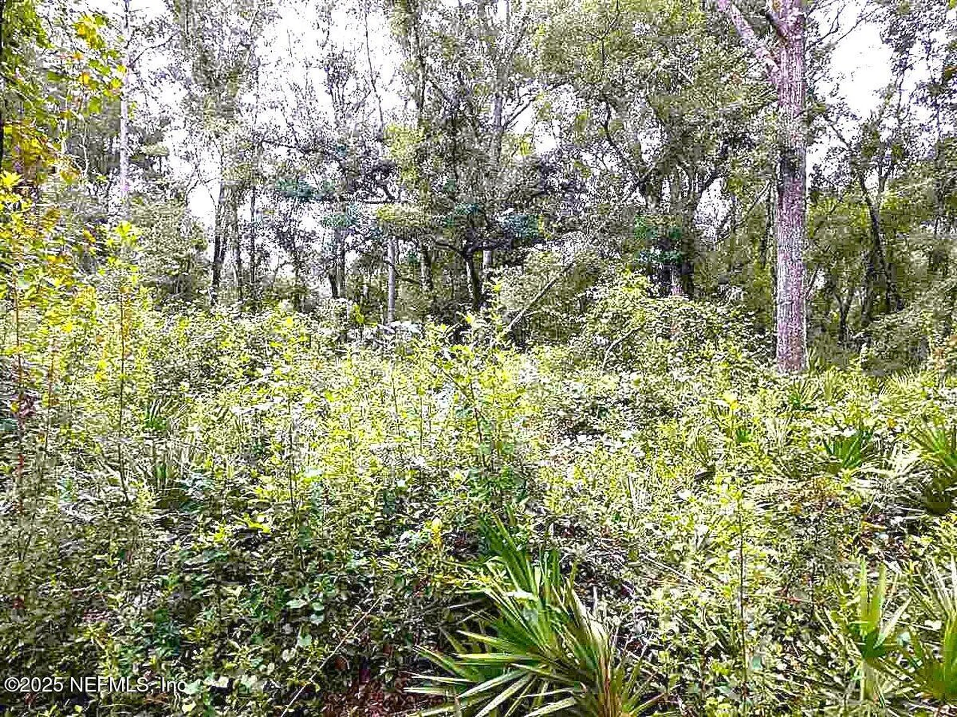 799 Roberts Aman Road Perry FL 32347