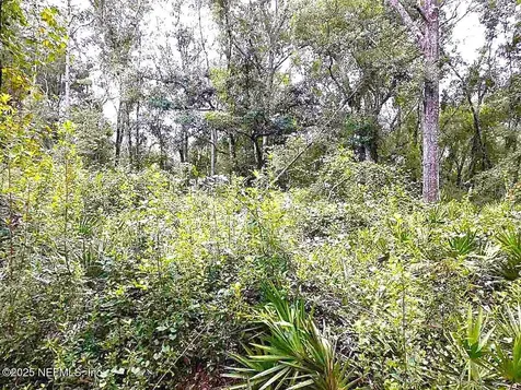 799 Roberts Aman Road Perry FL 32347