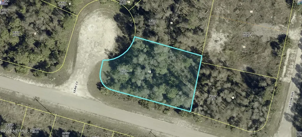 1019 Leah Court Lehigh Acres FL 33974