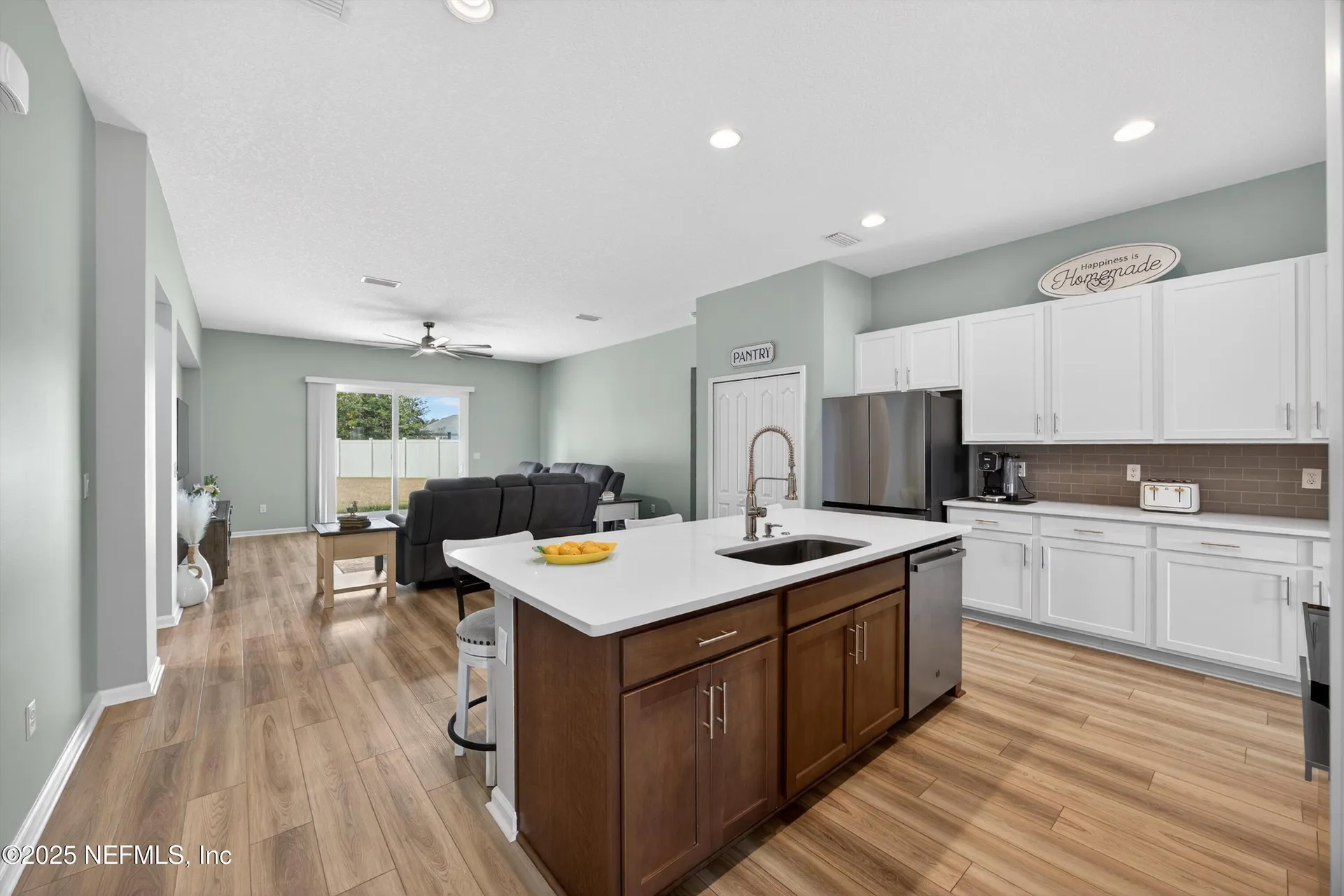 1733 Austin Lake Way Middleburg FL 32068