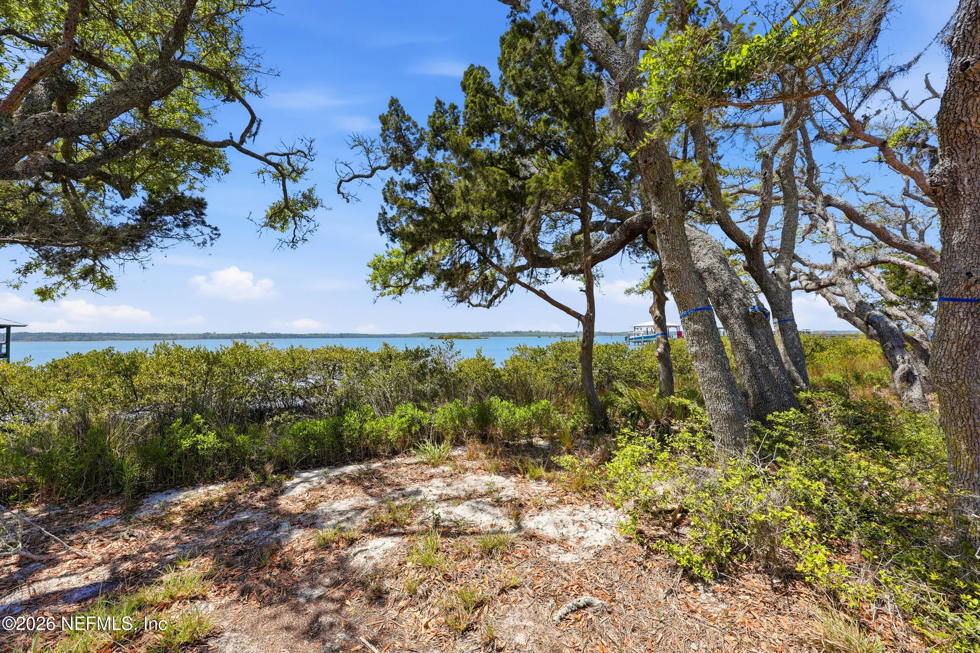 225 N La Crescenta Drive St. Augustine FL 32080