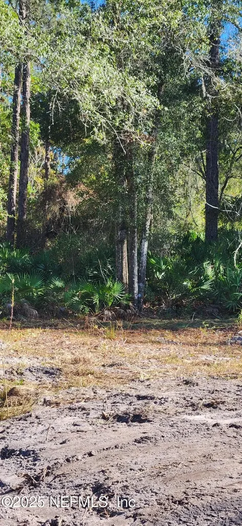 213 Breezeway Avenue Satsuma FL 32189