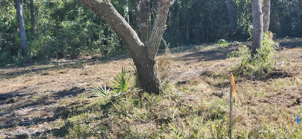 213 Breezeway Avenue Satsuma FL 32189