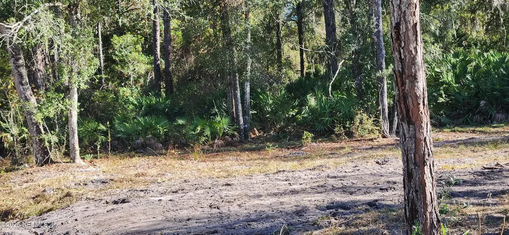 213 Breezeway Avenue Satsuma FL 32189