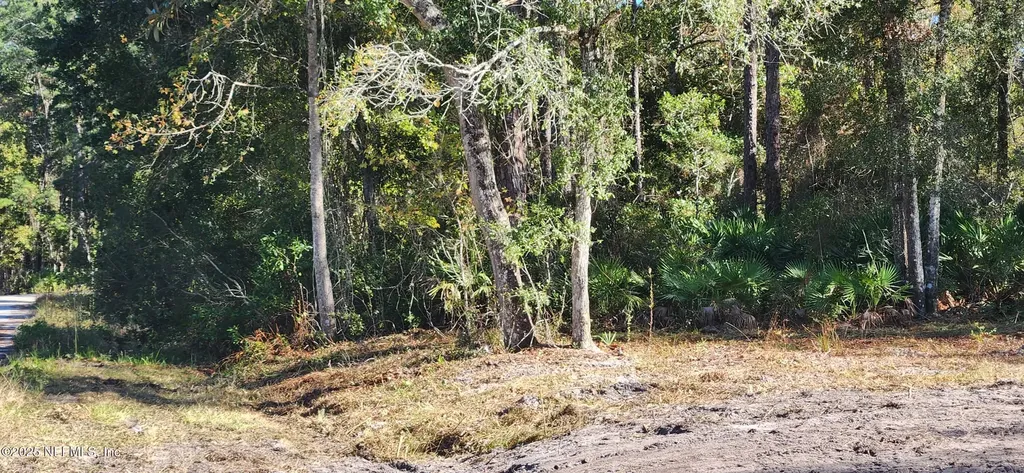 213 Breezeway Avenue Satsuma FL 32189
