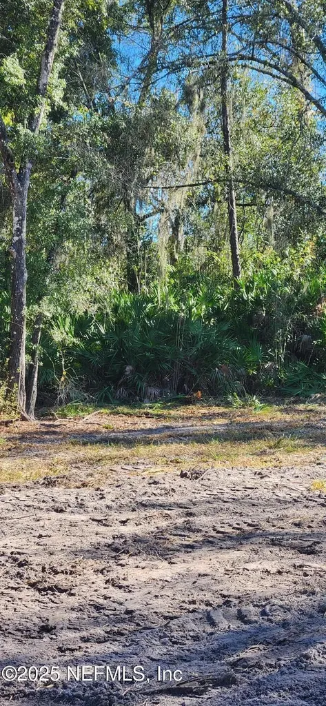 213 Breezeway Avenue Satsuma FL 32189