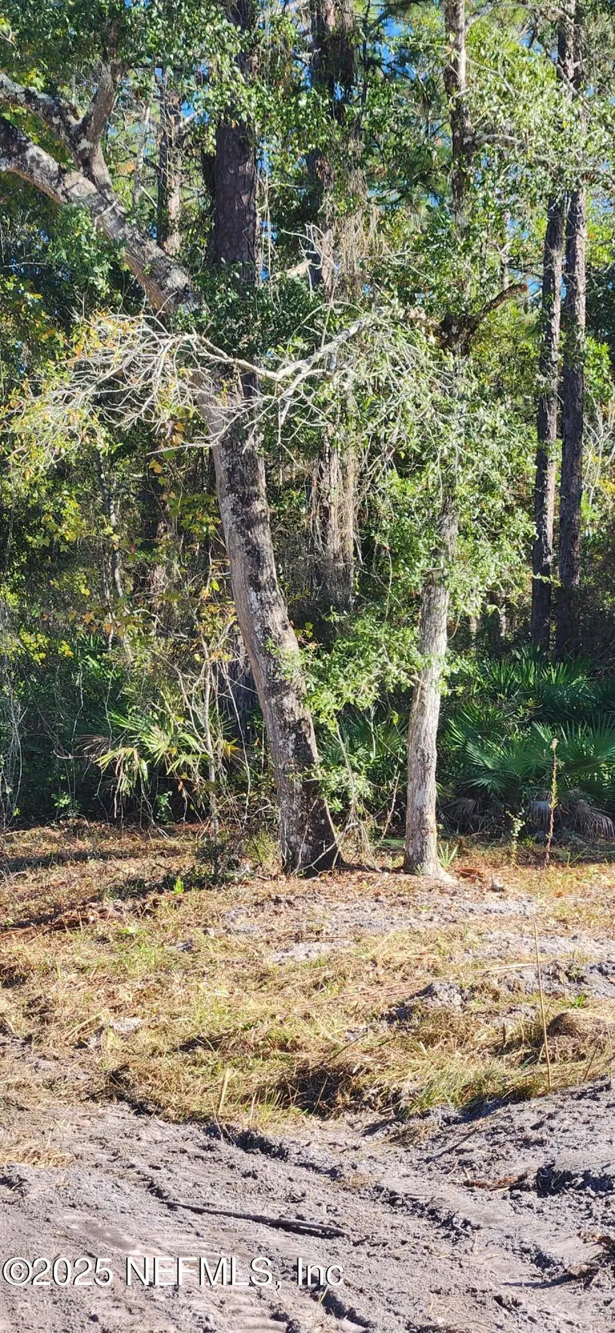 213 Breezeway Avenue Satsuma FL 32189