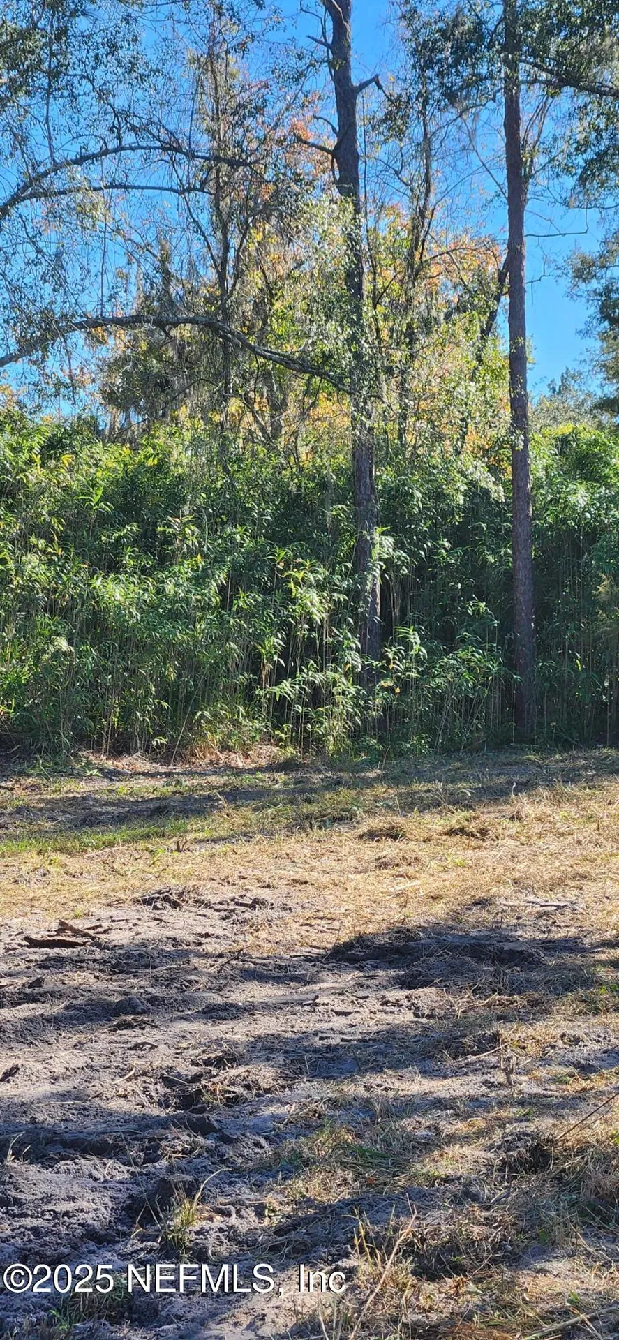 213 Breezeway Avenue Satsuma FL 32189