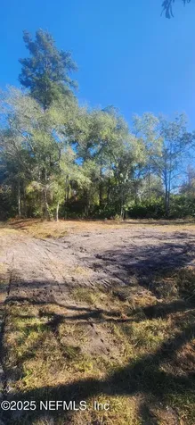 213 Breezeway Avenue Satsuma FL 32189