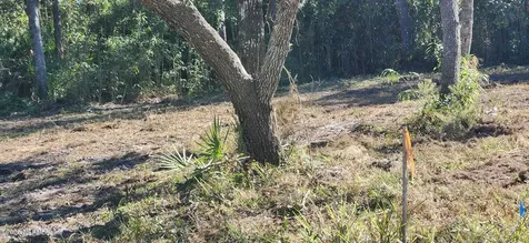 213 Breezeway Avenue Satsuma FL 32189