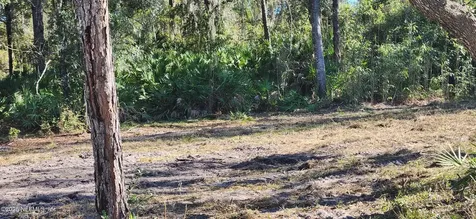 213 Breezeway Avenue Satsuma FL 32189