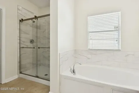 846 Mosswood Chase Street Orange Park FL 32065