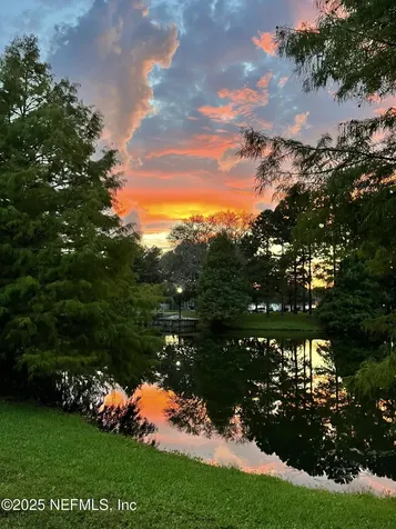 846 Mosswood Chase Street Orange Park FL 32065