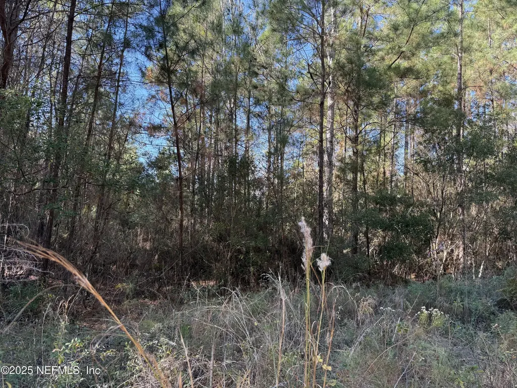 0 Do Hi Way Hilliard FL 32046