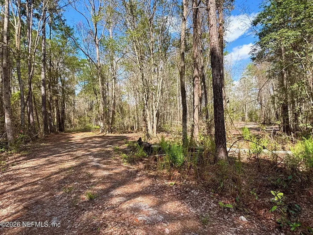 37125 Anna Marie Lane Hilliard FL 32046