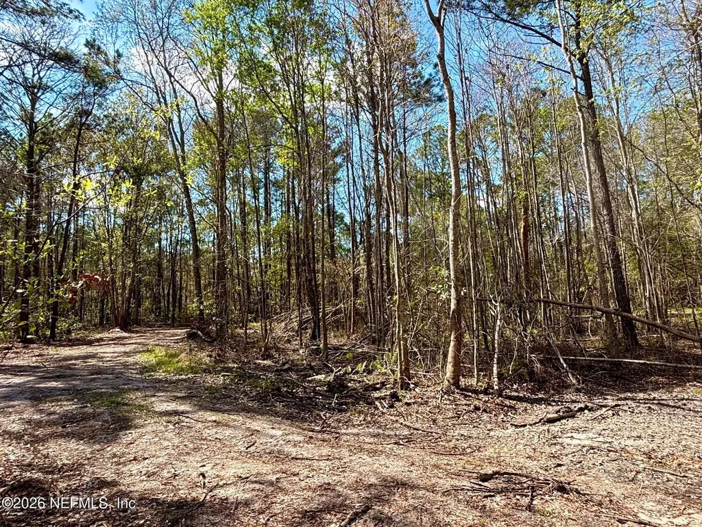 37125 Anna Marie Lane Hilliard FL 32046