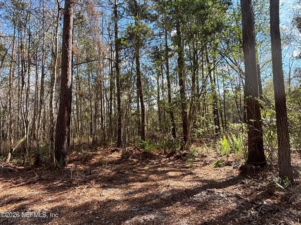 37125 Anna Marie Lane Hilliard FL 32046