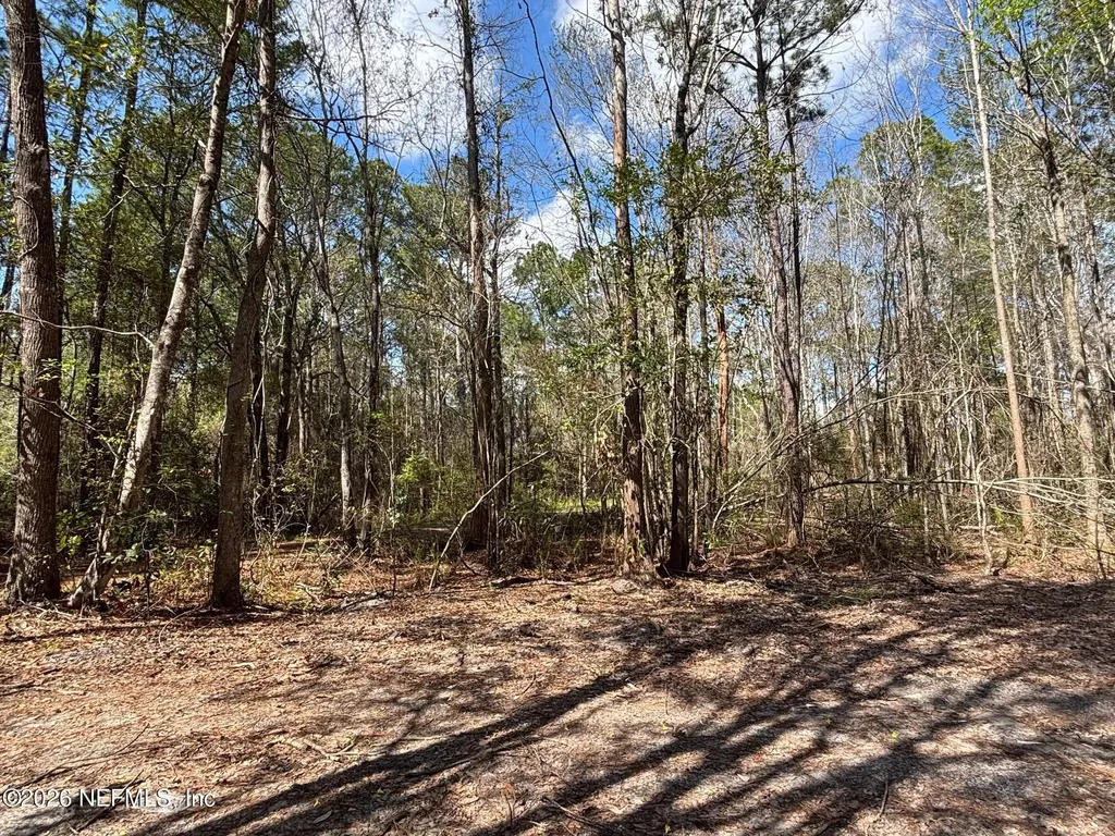 37125 Anna Marie Lane Hilliard FL 32046