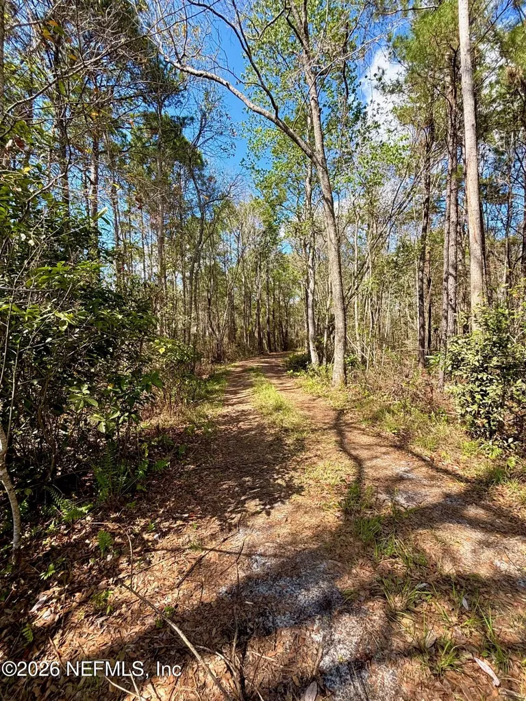 37125 Anna Marie Lane Hilliard FL 32046