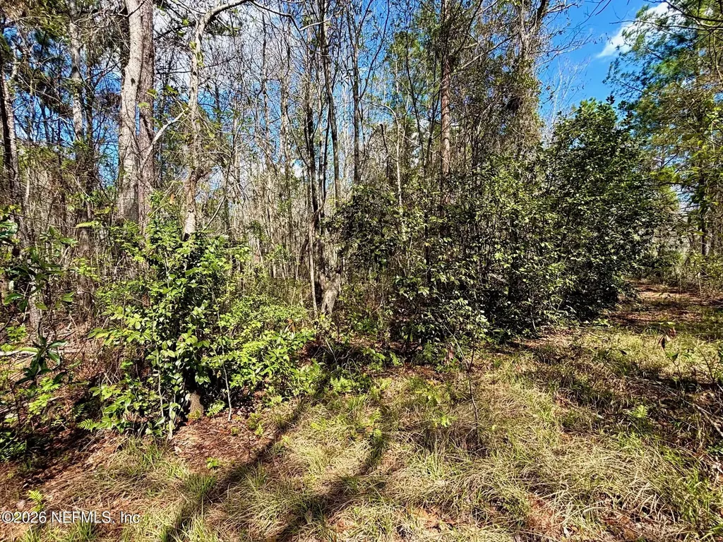 37125 Anna Marie Lane Hilliard FL 32046