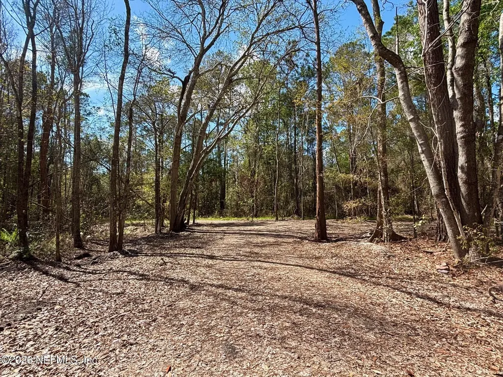 37125 Anna Marie Lane Hilliard FL 32046