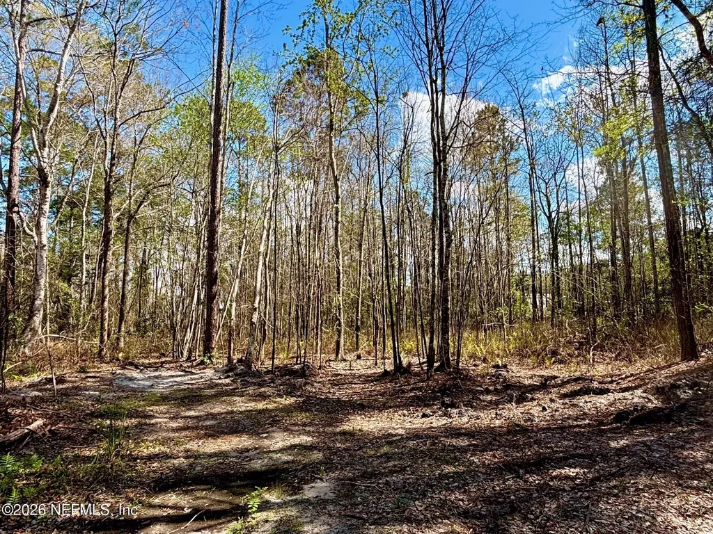 37125 Anna Marie Lane Hilliard FL 32046