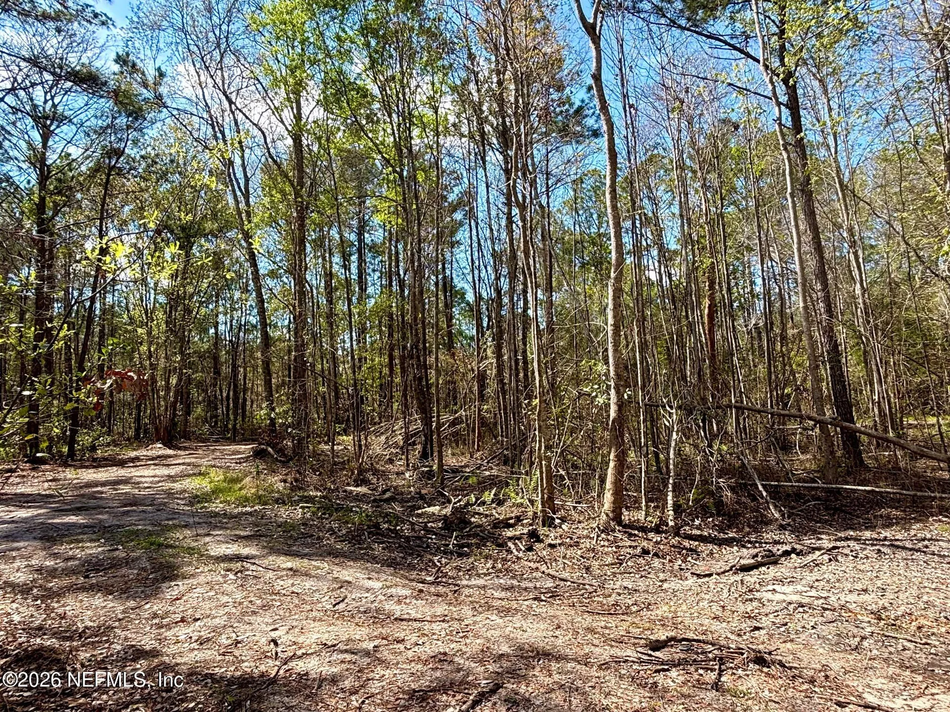 37125 Anna Marie Lane Hilliard FL 32046