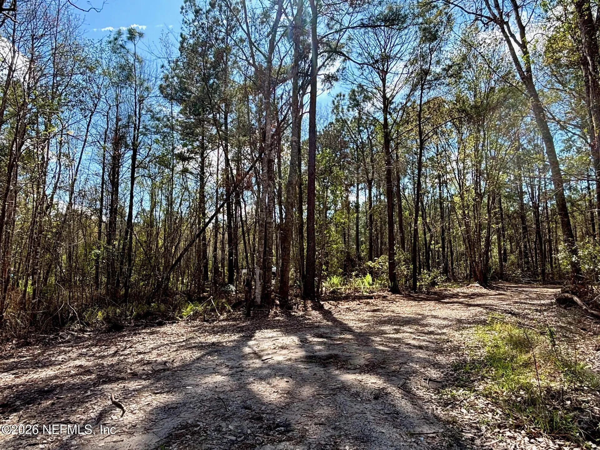 37125 Anna Marie Lane Hilliard FL 32046