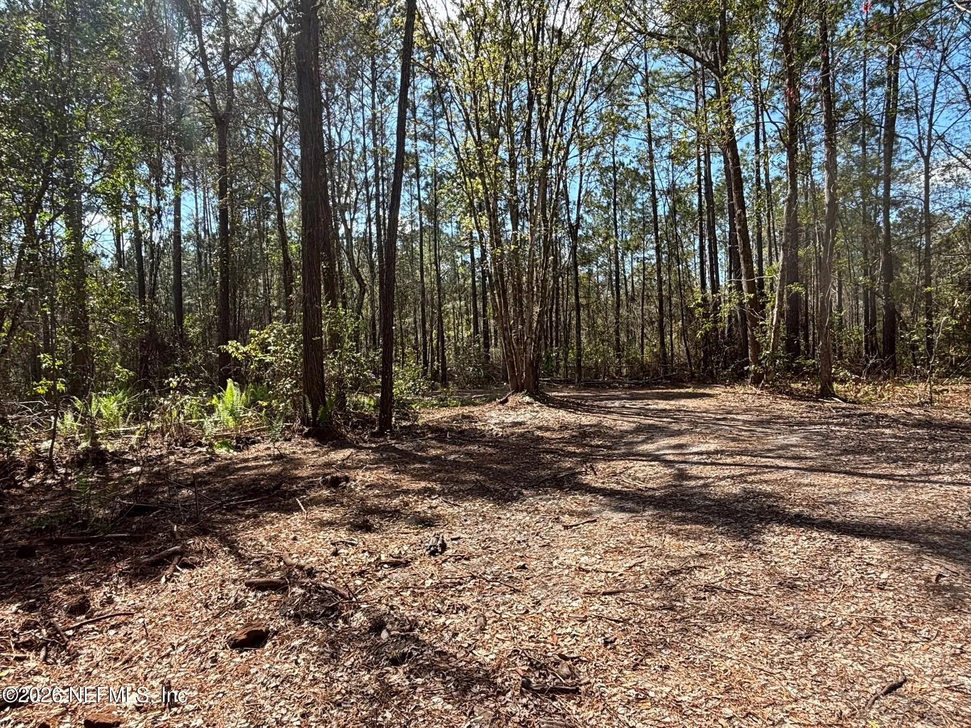 37125 Anna Marie Lane Hilliard FL 32046