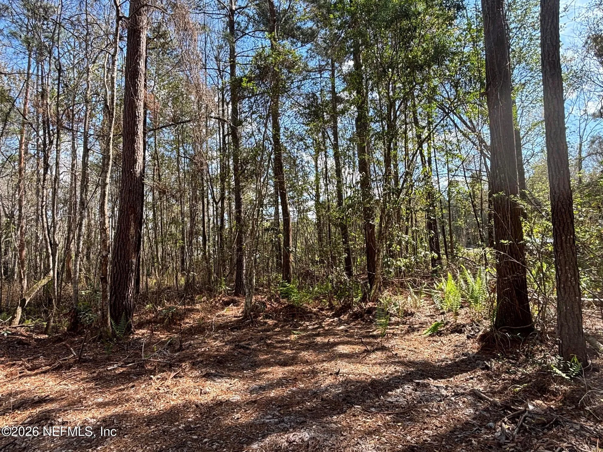37125 Anna Marie Lane Hilliard FL 32046