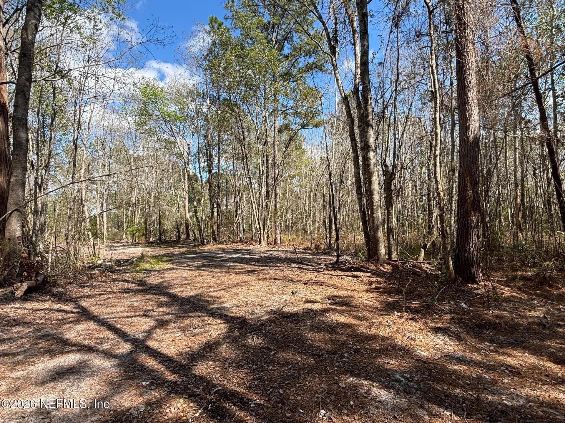 37125 Anna Marie Lane Hilliard FL 32046