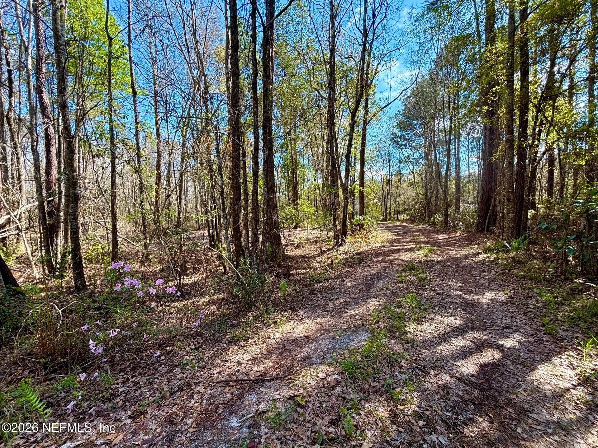 37125 Anna Marie Lane Hilliard FL 32046