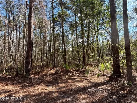 37125 Anna Marie Lane Hilliard FL 32046