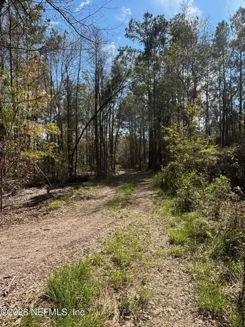 37125 Anna Marie Lane Hilliard FL 32046