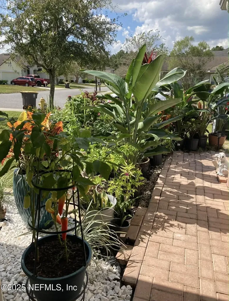 6881 Morse Oaks Drive Jacksonville FL 32244