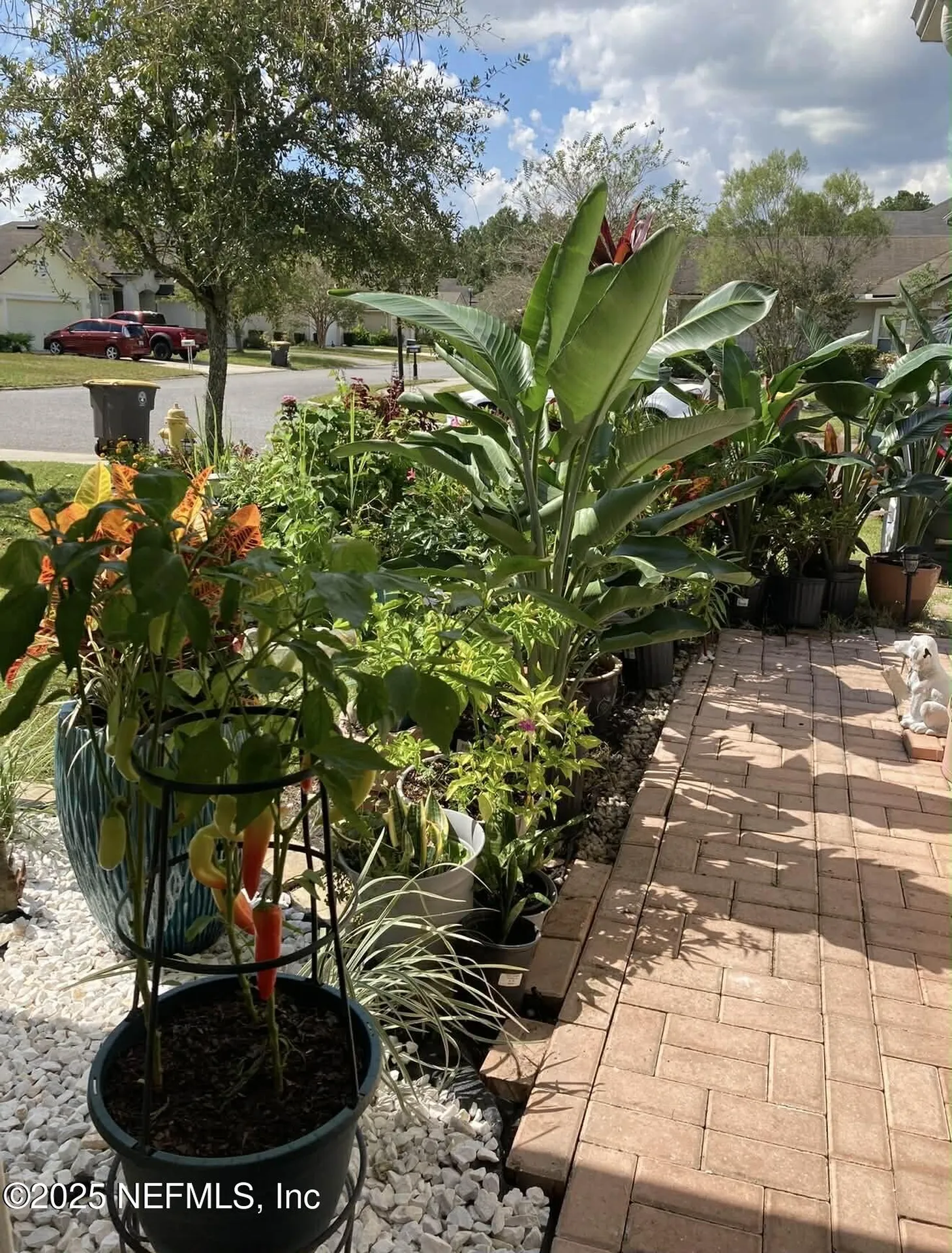 6881 Morse Oaks Drive Jacksonville FL 32244